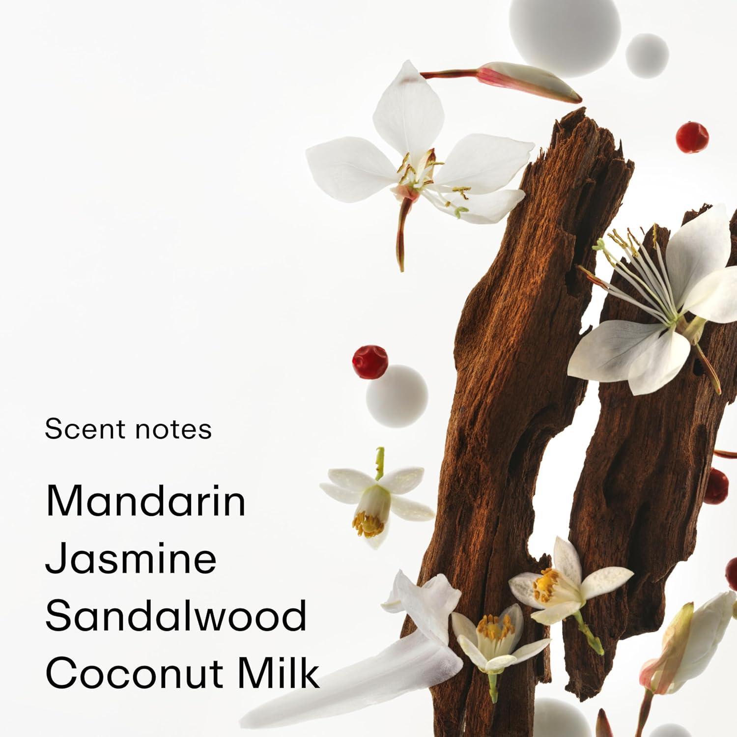 imagePHLUR Lost Cause Eau de Parfum Full Size Perfume for Women ampamp Men Fragrance Fresh Woody Floral Perfume with Bergamot Apple Jasmine ampamp Vanilla Orchid 50mLGolden Rule