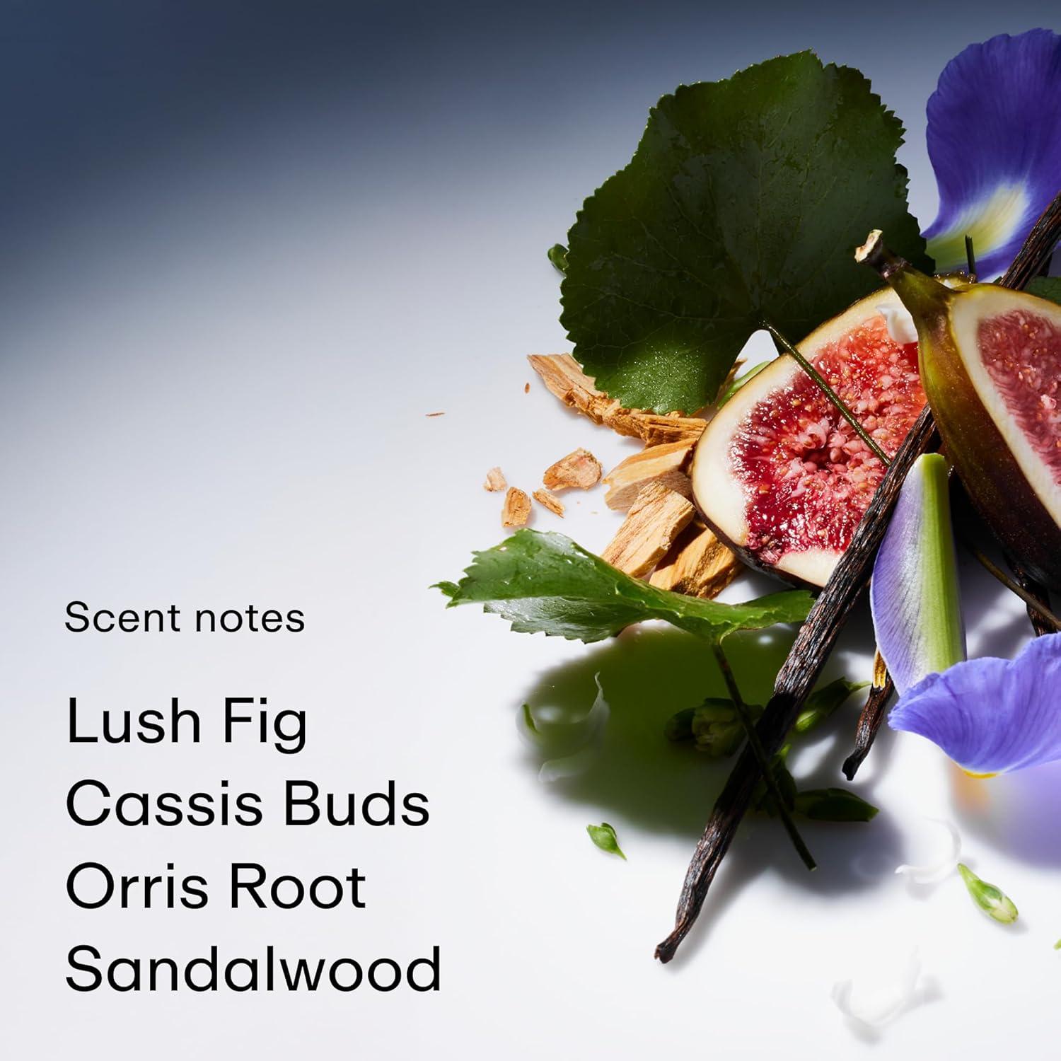 imagePHLUR Lost Cause Eau de Parfum Full Size Perfume for Women ampamp Men Fragrance Fresh Woody Floral Perfume with Bergamot Apple Jasmine ampamp Vanilla Orchid 50mLFather Figure